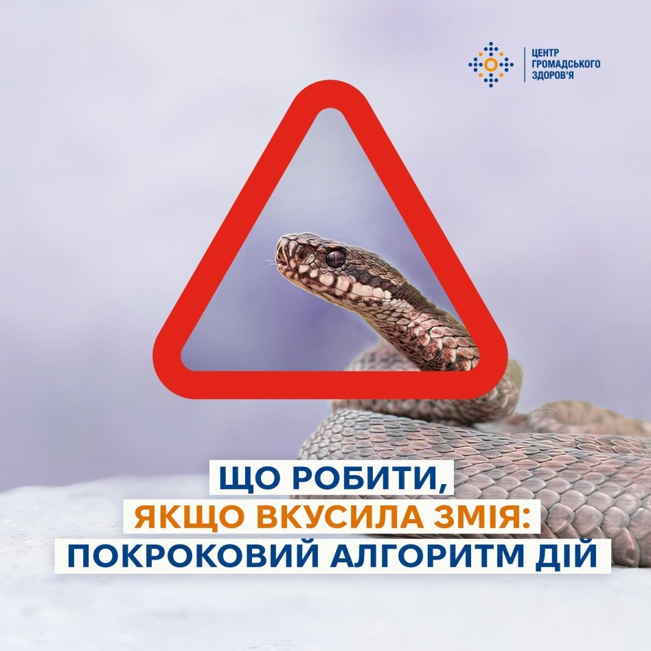 Докладнiше