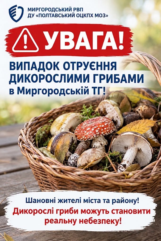 Докладнiше