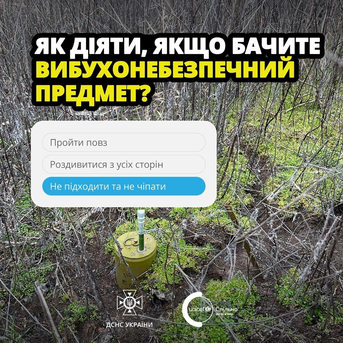Докладнiше